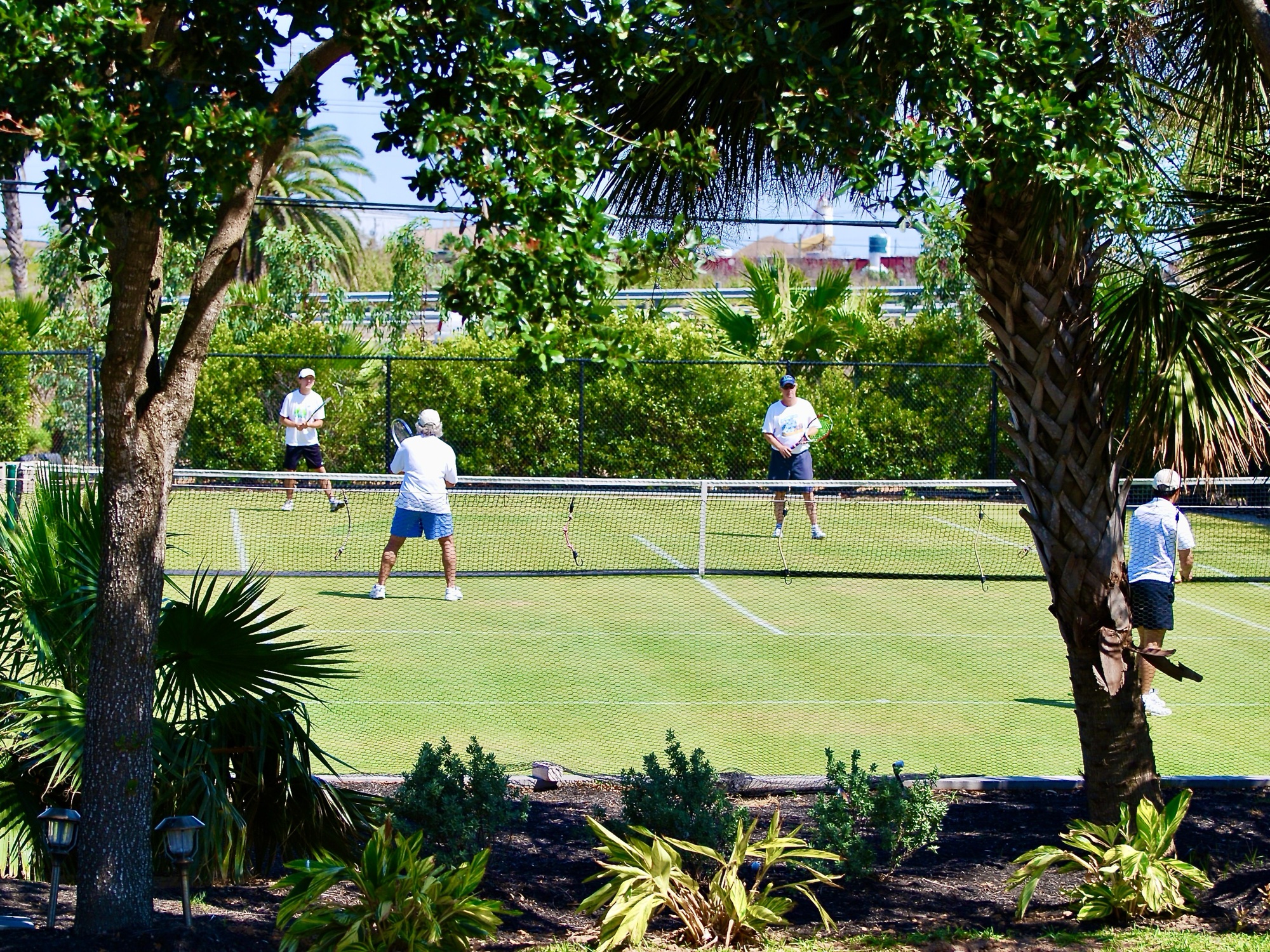 Doubles seen through the oaks
